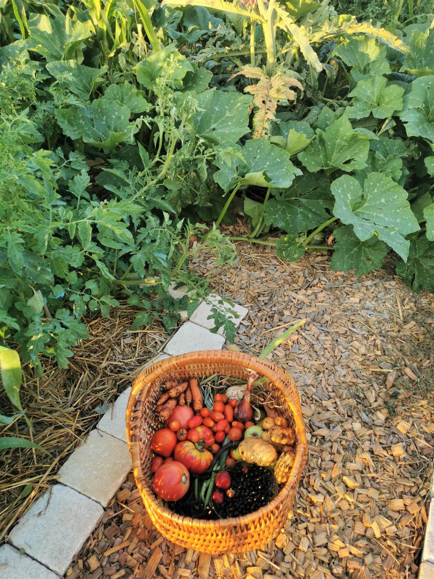 مبيت وإفطار Prissé Au Jardin Des Deux Roches المظهر الخارجي الصورة